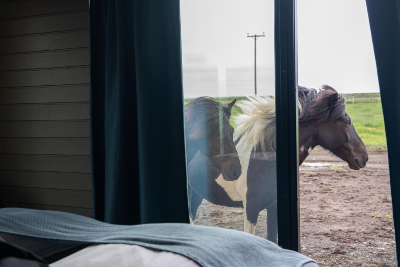 Sleeping With The Horses Apartment Hvolsvollur Exterior photo
