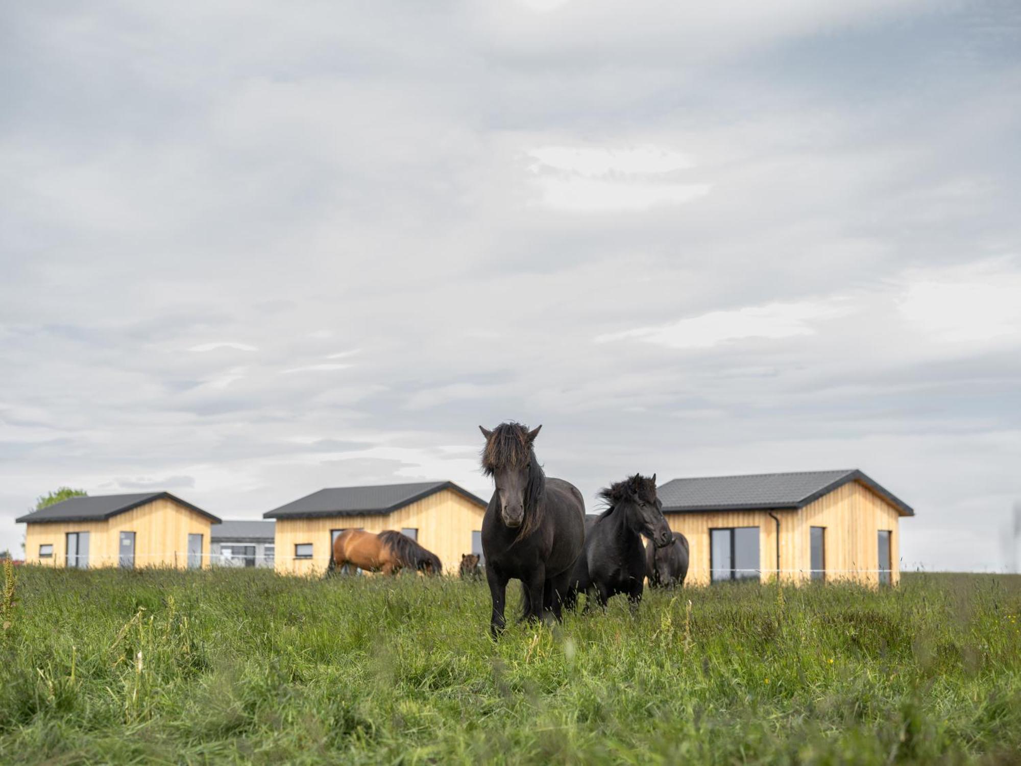 Sleeping With The Horses Apartment Hvolsvollur Exterior photo