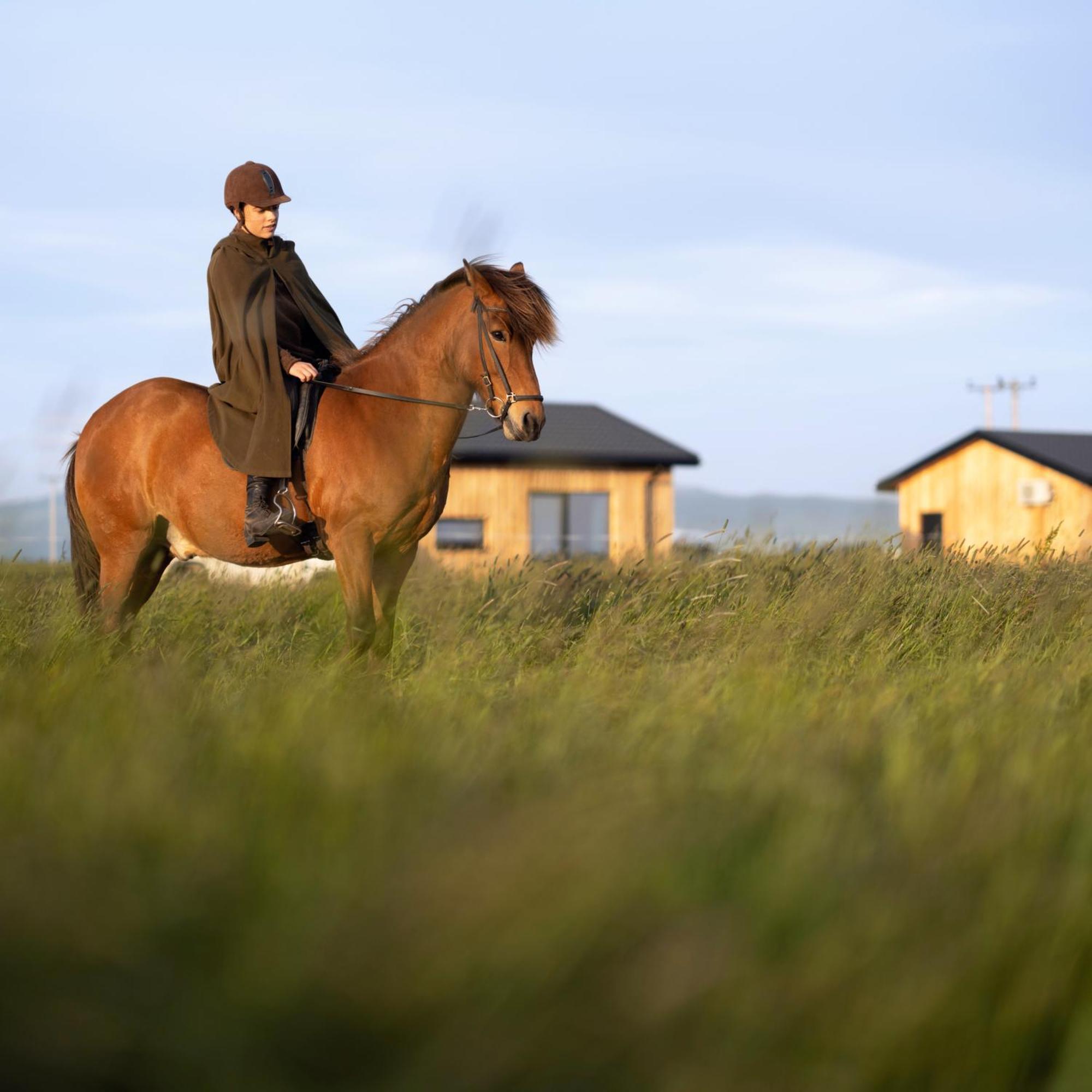 Sleeping With The Horses Apartment Hvolsvollur Exterior photo